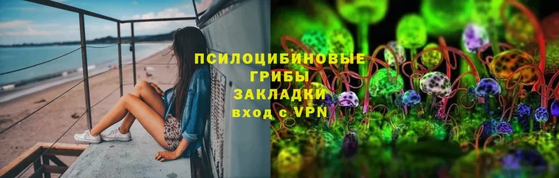 Галлюциногенные грибы Cubensis  МЕГА ссылка  Константиновск 